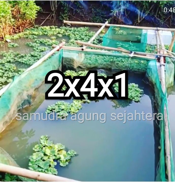 Keramba Kasa Ukuran 2x4x1 Meter Untuk Ternak Bibit Ikan Benih Ikan