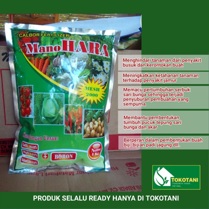 Pupuk Calcium Manohara Original Kg Kemasan Pabrik Lazada Indonesia