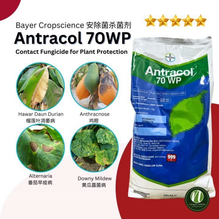 Antracol 70WP Bayer 1kg Propineb 70 Contact Fungicide For Durian