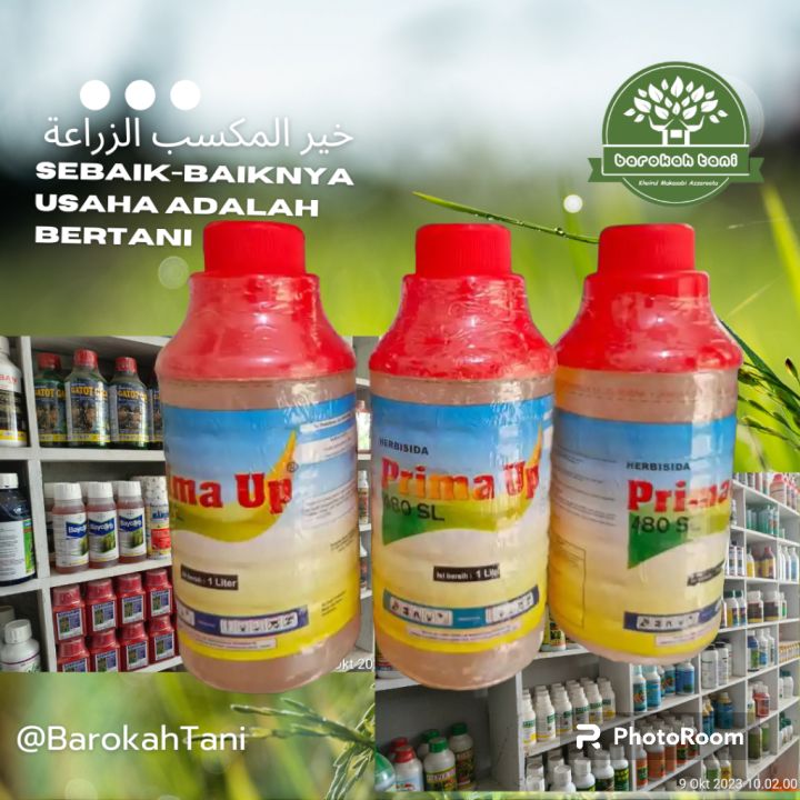 Obat Rumput Prima Up Ltr Herbisida Pembasmi Aneka Macam Gulma Rumput