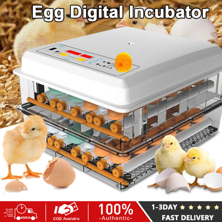 Egg Incubator 12 16 36 64 120 Eggs Fully Automatic Egg Incubator