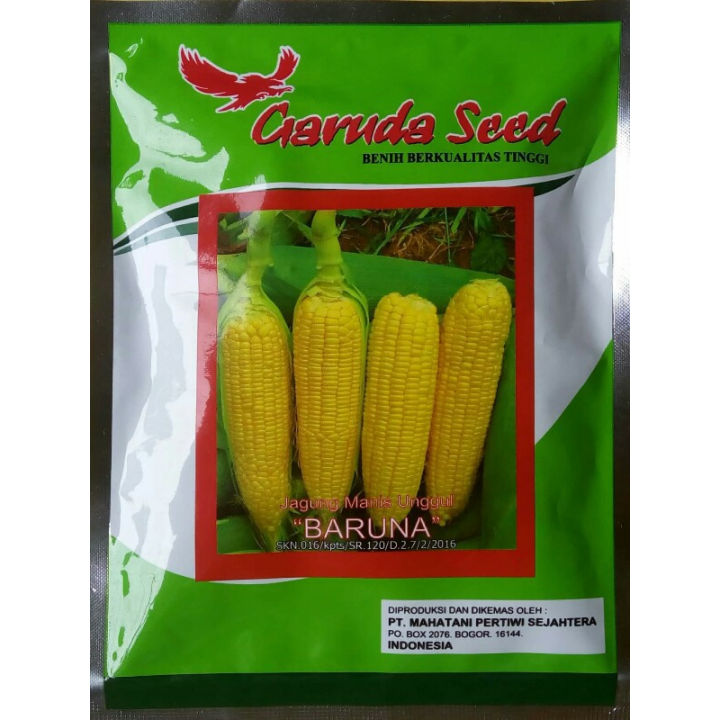 Benih Jagung Manis BARUNA 250 GRAM Lazada Indonesia