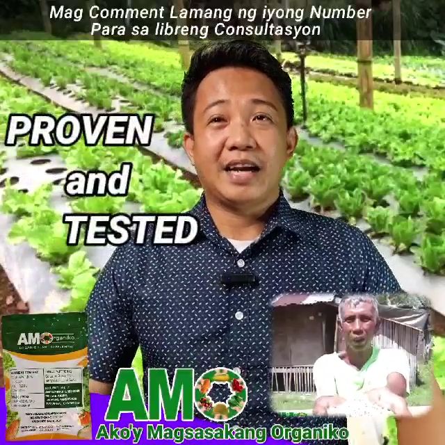 AMO Plant Growth Enhancer Seaweed Organic Fertilizer 100g 10g Soil