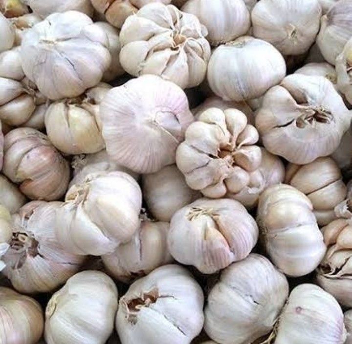 Bawang Putih Super Kotor 1 Kg Lazada Indonesia