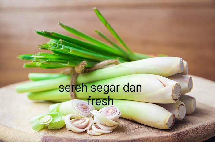 Sereh Serai Segar Dan Fresh Sebagai Bumbu Dapur Dan Obat Herbal 250