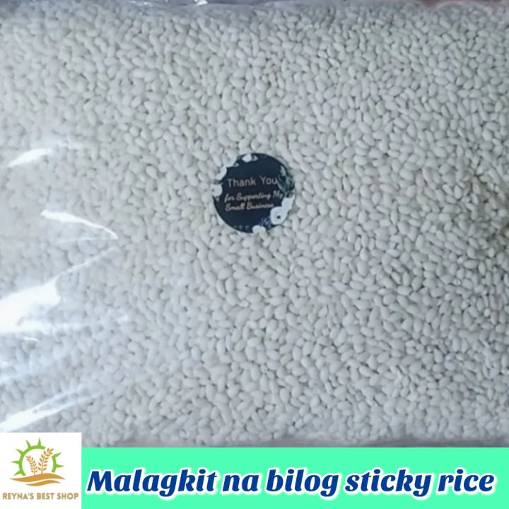 Malagkit Na Bigas Pure Sticky Rice Bilog 1kg Lazada PH