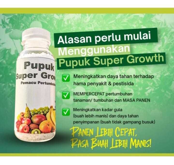 Pupuk Super Growth Mampu Menyeimbangkan Pertumbuhan Dan Pembuahan Isi