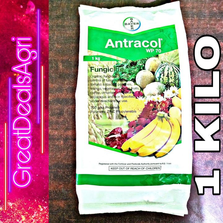 ANTRACOL WP 70 PROPINEB FUNGICIDE 1 KILO BAYER Lazada PH