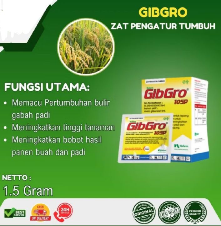 Gibgro 10 SP 1 GR Per Sachet Zat Pengatur Tumbuh Penyubur Tanaman Padi