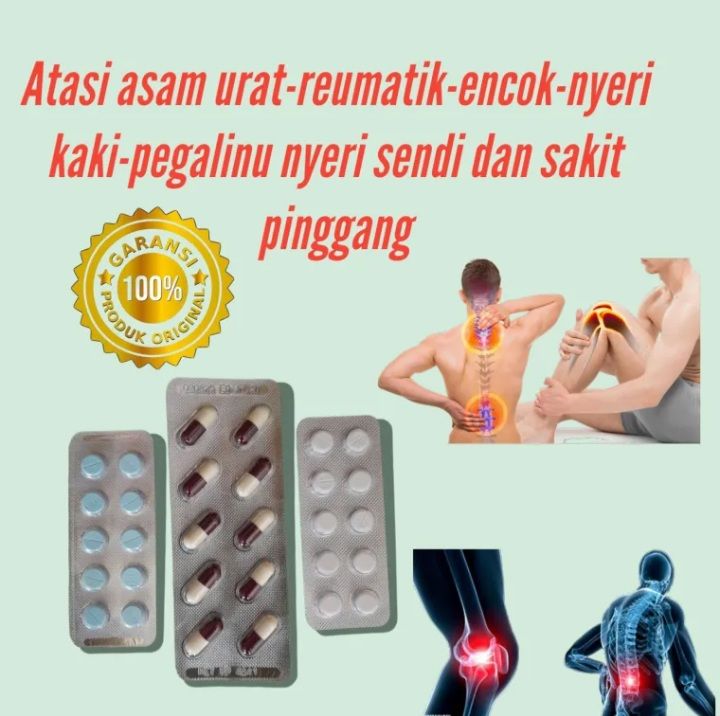 Lembar Obat Asam Urat Rematik Nyeri Pinggang Encok Pegal Linu