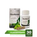 Glucoformin Asli Herbal Original Obat Diabetes Kencing Manis Gula Darah