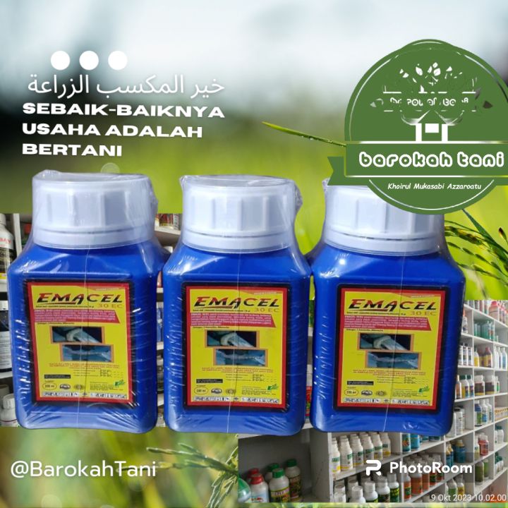 INSEKTISIDA EMACEL 30 EC 250ml INSEKTISIDA KONTAK Lazada Indonesia