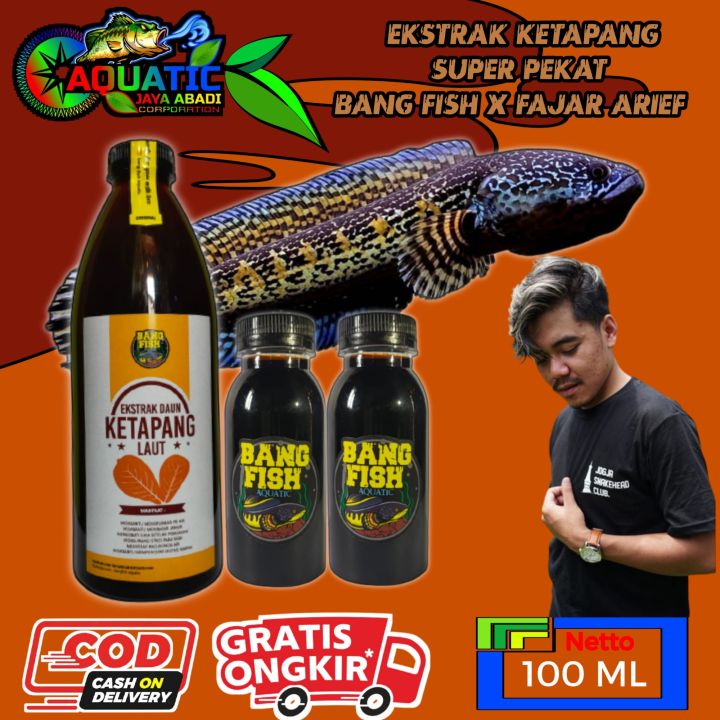 Bang Fish Aquatic Ekstrak Ketapang Super Repack Ml Lazada Indonesia