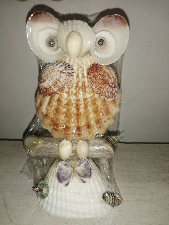 Real Seashell L Owl Souvenir Made Of Shells L Lazada PH