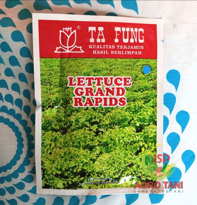 Benih Selada Lettuce Grand Rapid Gram Ta Fung Lazada Indonesia