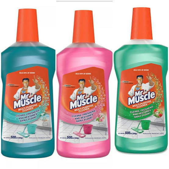 Mr Muscle Multi Purpose Cleaner Lazada Ph