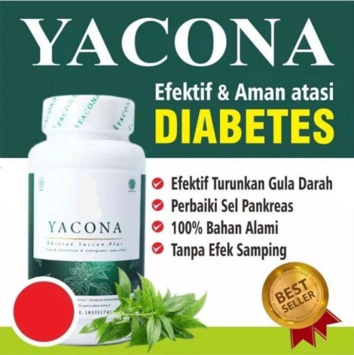 Yacona Herbal Diabetes Atasi Diabetes Kesemutan Gula Darah Tinggi