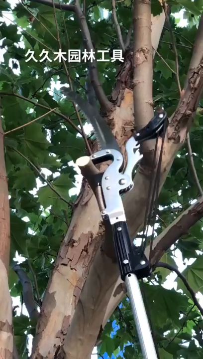 M With Rod High Altitude Pruning Shears Tree Trimmer Branches Cutter