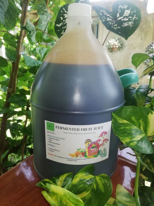 Fermented Fruit Juice Organic Fertilizer Foliar 1 Gallon Lazada PH