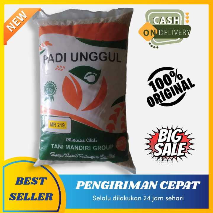 Benih Padi Unggul MR219 Tahan Rebah 5kg Lazada Indonesia