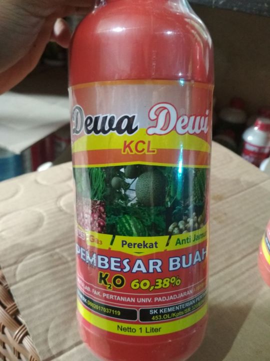 Pupuk KCL Cair DEWA DEWI 1 Liter Pembesar Buah Dan Umbi Lazada Indonesia