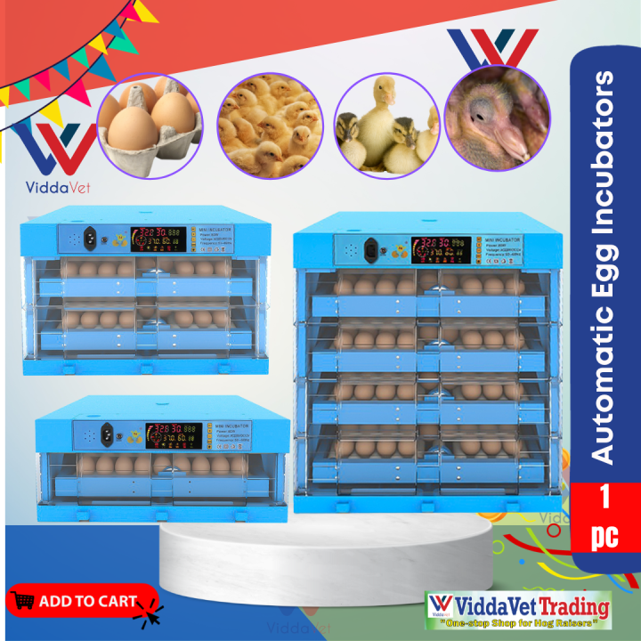 V Egg Automatic Digital Incubator Eggs Fully Automatic