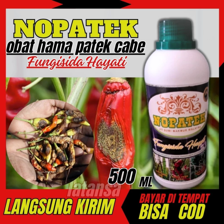 Pupuk Nopatek Fungisida Hayati Obat Hama Patek Cabe Ampuh Lazada