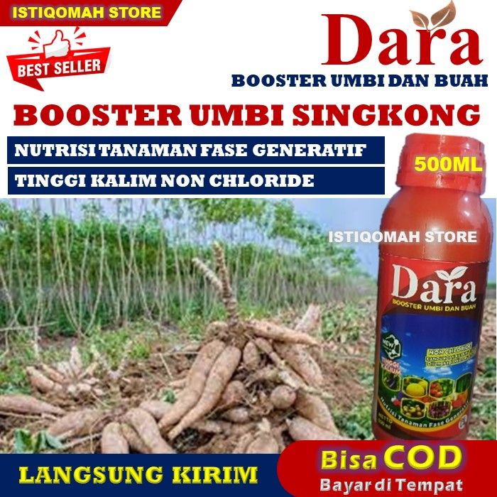 Pupuk Cair Pembesar Umbi Singkong Terbaik DARA 500ML Pupuk Booster Umbi