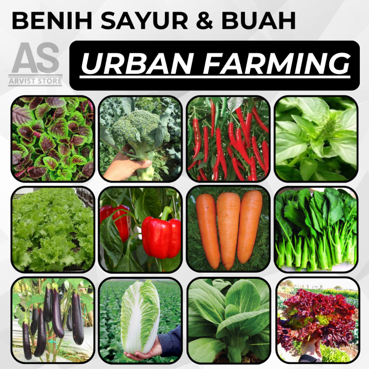 Benih Sayuran Rumahan Urban Farming Paket Bibit Tanaman Rumahan