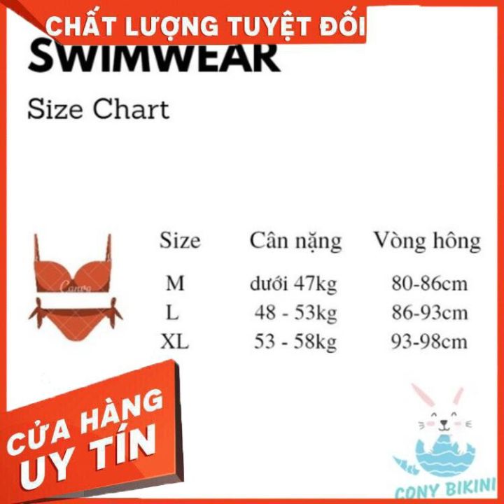 Bộ Đồ Tập bơi đi tắm biển nữ Bikini 2 Mảnh 1 Set Áo dài và quần lót