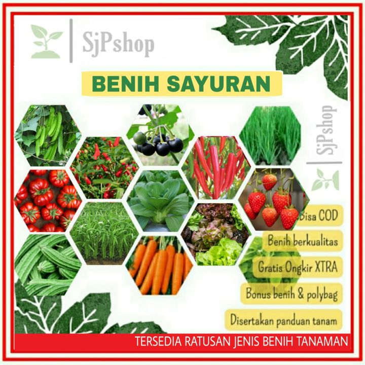 Benih Sayuran Pemula Lengkap Biji Sayur Dan Buah Bibit Ecer Seribuan