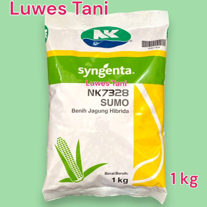 Benih Jagung Nk Sumo Kg Syngenta Lazada Indonesia