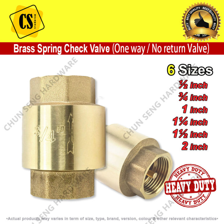 Check Valve Brass Spring Check Valve One Way Valve Non Return Valve