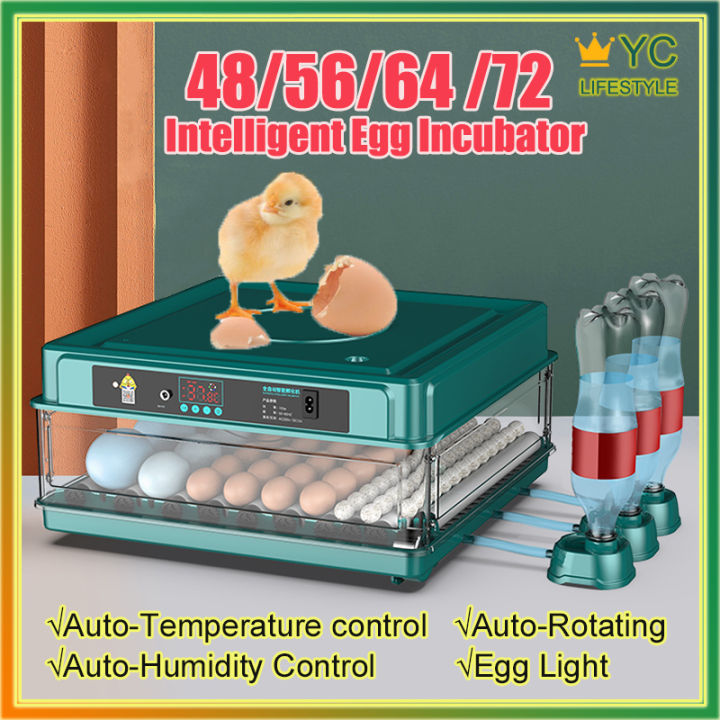 Year Warranty Egg Incubator Eggs