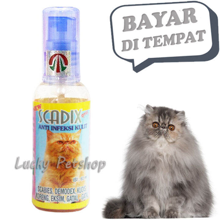 Obat Kucing Koreng Scadix Spray Anti Jamur Gudix Gatal Scabies Infeksi