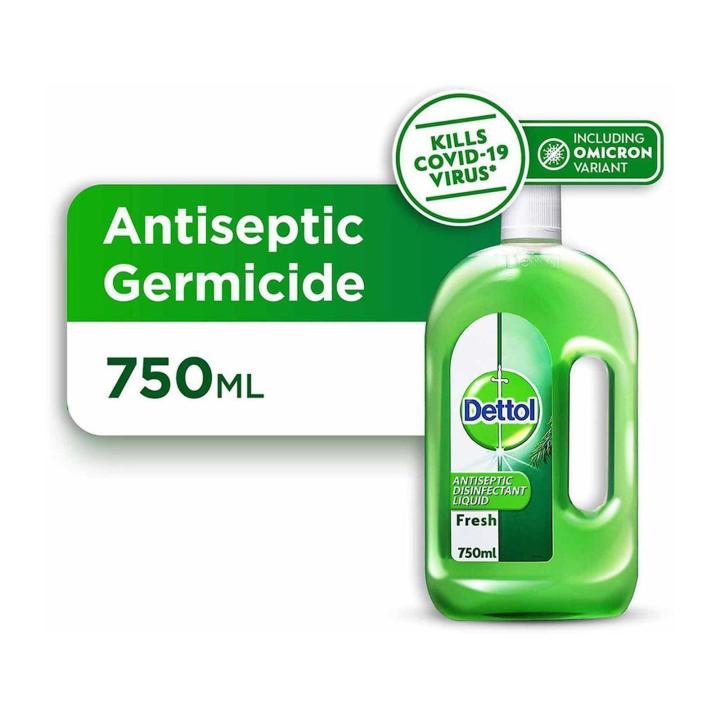 Dettol Antiseptic Germicide Liquid Fresh 750ML Disinfectant Lazada