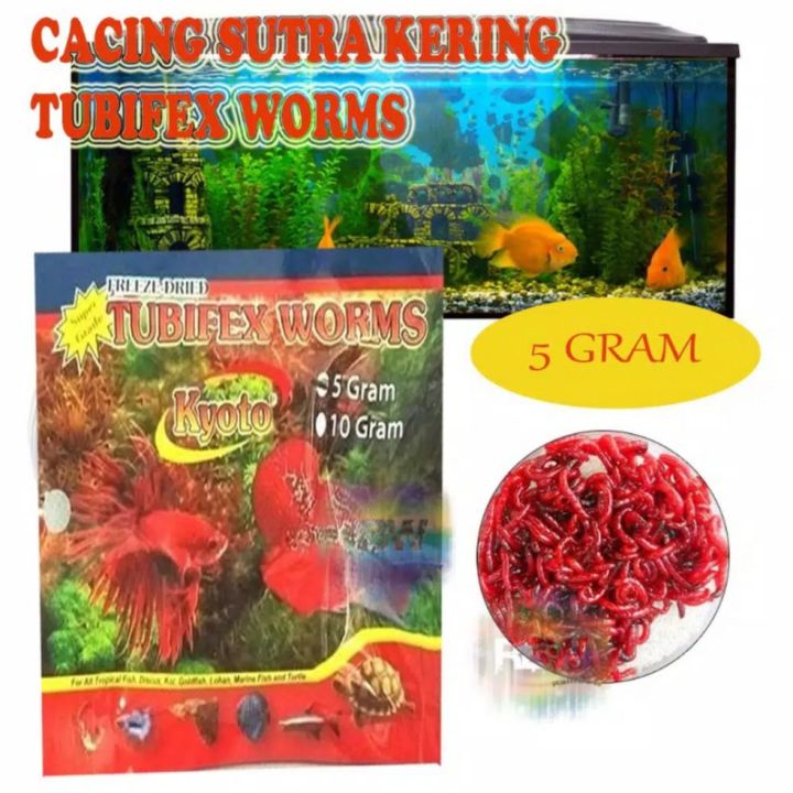 Makanan Ikan Cacing Kering Gr Lazada Indonesia