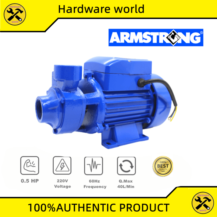 Armstrong Water Pump Booster Pump Peripheral Pumps Jet Elettro Pump