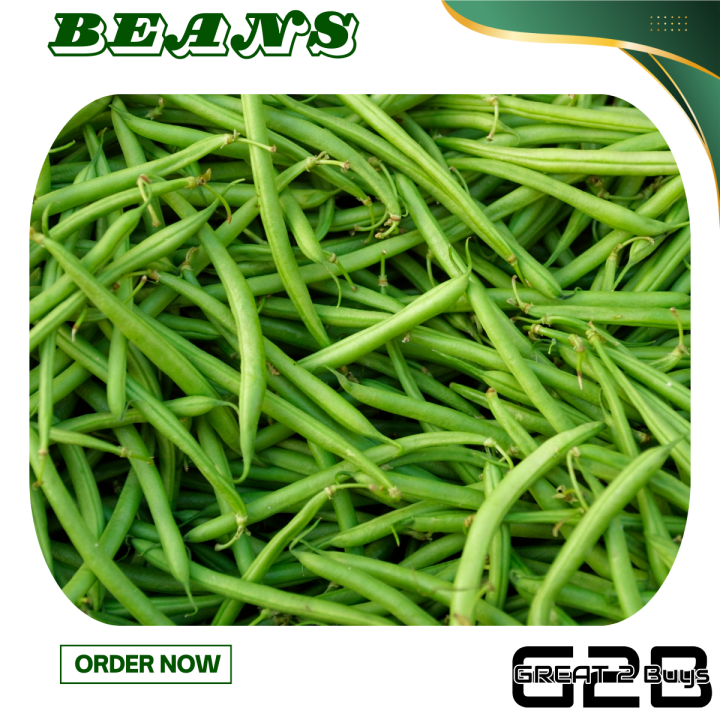 Grams Baguio Benguet Fresh Beans Lazada Ph