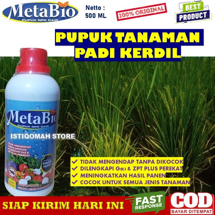 Pupuk Untuk Tanaman Padi Kerdil Yang Bagus Ml Metabio Pupuk Npk Cair