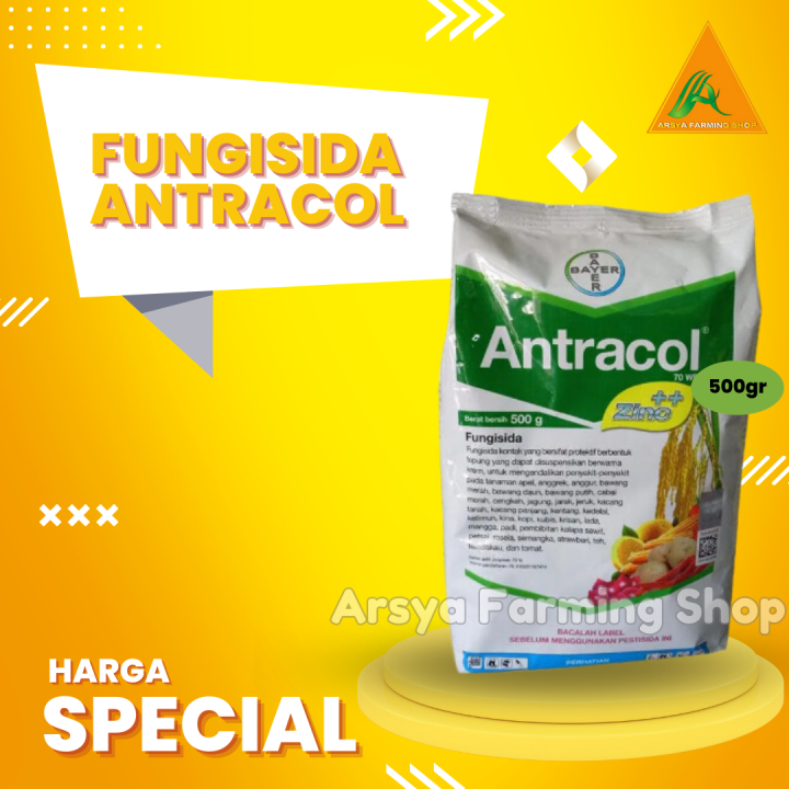 Fungisida Kontak Antracol Wp Gr Pengendali Penyakit Tanaman