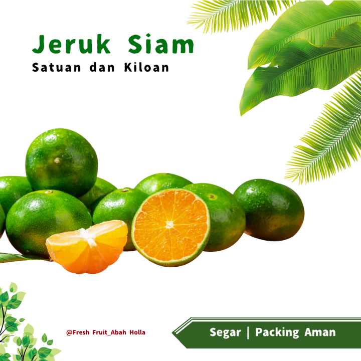 JERUK PERAS JERUK IJO JERUK SIAM JERUK SIEM JEMBER Segar Satuan