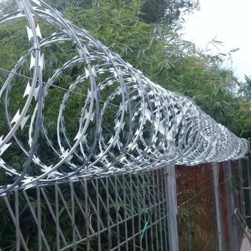 Bard Wire Pkp Wire Dawai Kawat Duri Silet Razor Wire Uganda Razor