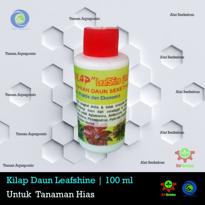 Kilap Daun Leafshine Untuk Tanaman Hias Ml Lazada Indonesia