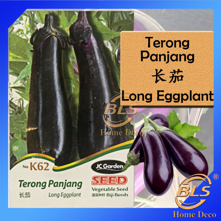 K Long Eggplant Jc Garden Vegetale Seed Biji Benih Terong Panjang