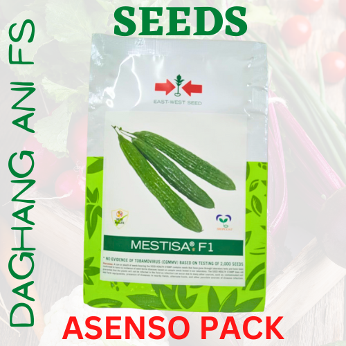 EASTWEST AMPALAYA MESTISA F1 ASENSO PACK BY EAST WEST SEEDS Lazada PH