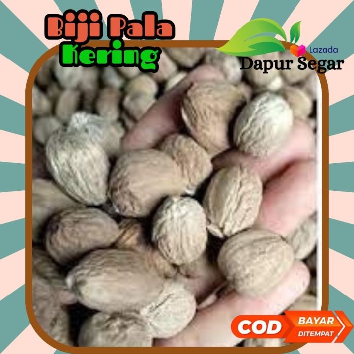 Biji Pala Nutmeg Pala Utuh Bumbu Dapur Rempah Jsr Gr Lazada