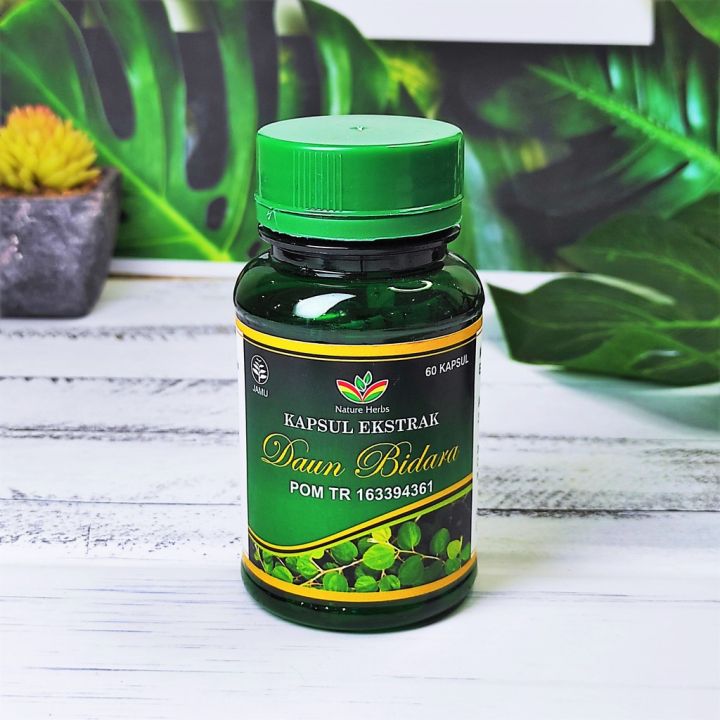 Ekstrak Daun Bidara Kapsul Nature Herbs Lazada Indonesia