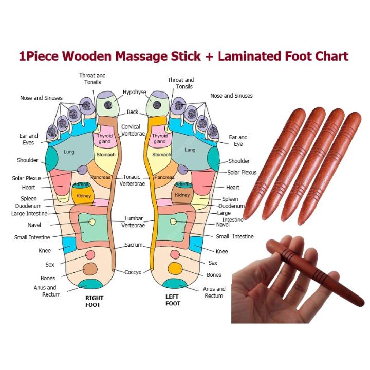 Hot 1 Piece Wooden Massage Stick Foot Reflexology Laminated Foot