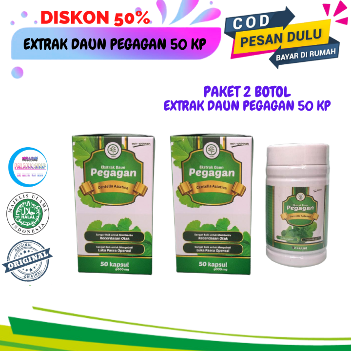 PAKET 2 Pcs Ekstrak Daun PEGAGAN Kapsul ASH SHIHAH Kecerdasan Otak